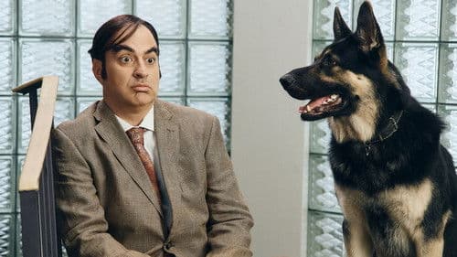 СамоИрония судьбы Bild 5