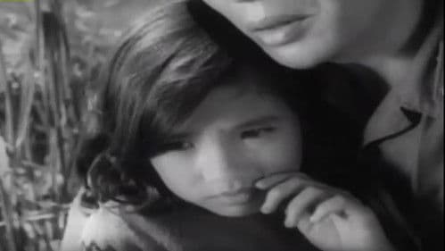 Em bé Hà Nội Bild 8