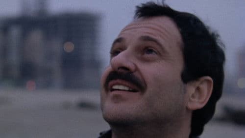 Dear Mr. Wonderful Bild 1