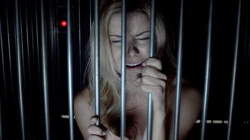 Escape Room - Das Spiel geht weiter Bild 8