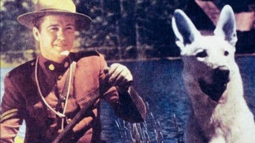 The Wolf Hunters Bild 3