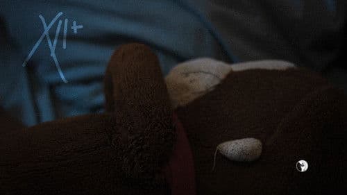 12 And More Omissions Bild 5