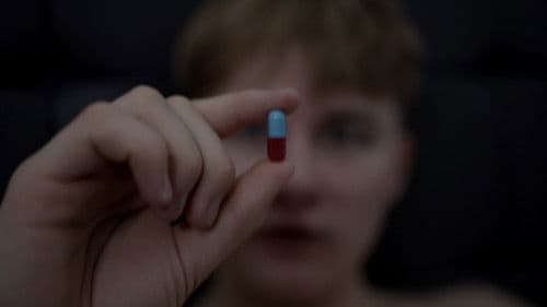 The Return Of Zappy Bild 1