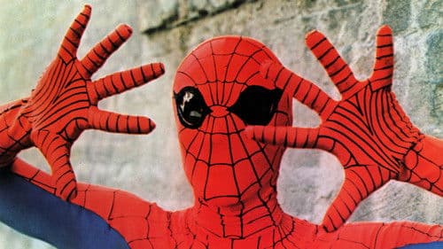 Spider-Man - Der Spinnenmensch Bild 4