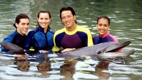 Flippers neue Abenteuer Bild 7