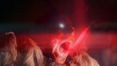 The Field Guide to Evil Bild 3