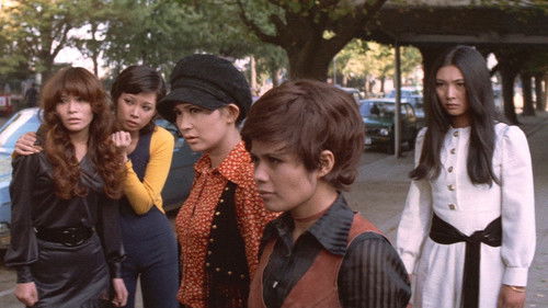 野良猫ロック　マシン・アニマル Bild 3