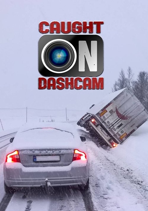 Dashcam – Die schlimmsten Autofahrer der Welt
