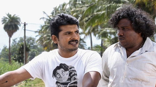 குத்தூசி Bild 1