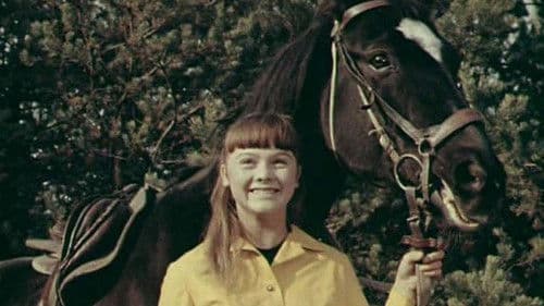 Деревенские каникулы Bild 1