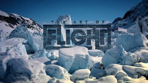 The Art of Flight Bild 1