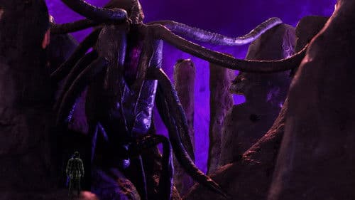 The Madness in the Grooves Bild 6