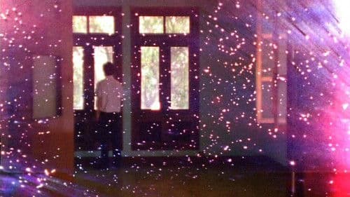 เจ้านกกระจอก Bild 6