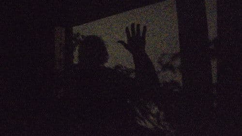 Un jardí d'ombres Bild 1