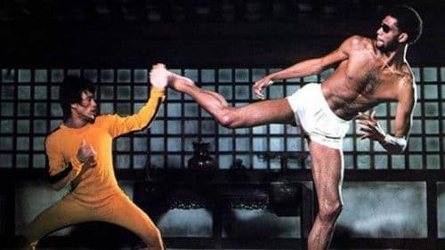 The Final Game of Death Bild 2