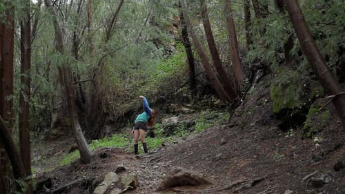 Estrada para o Céu Bild 2