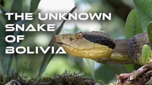 The Unknown Snake of Bolivia Bild 1