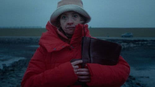 Flut und Ebbe Bild 5