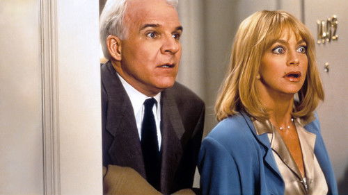 Schlaflos in New York Bild 8