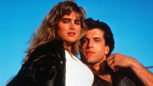 Backstreet Dreams Bild 1