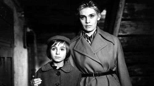 Świadectwo urodzenia Bild 4