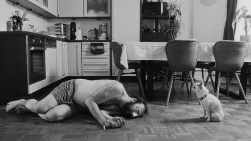 Chiennes de vies Bild 1