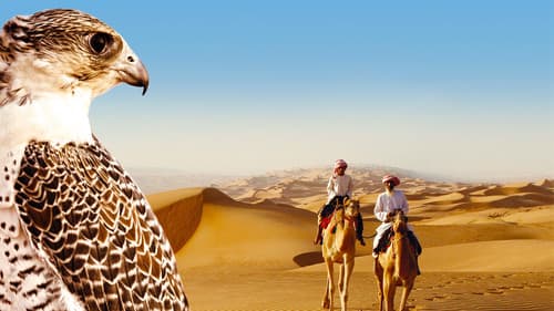 Wild Arabia Bild 1