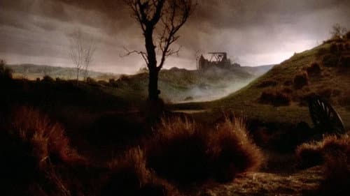 Der Tag der Heuschrecke Bild 7