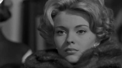 Plaisir d'amour Bild 2