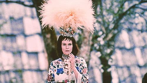 Білий птах з чорною ознакою Bild 8