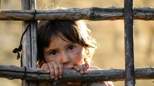 Land des Honigs Bild 7