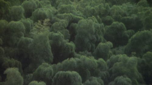 病院坂の首縊りの家 Bild 7