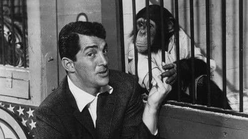 Im Zirkus der drei Manegen Bild 7