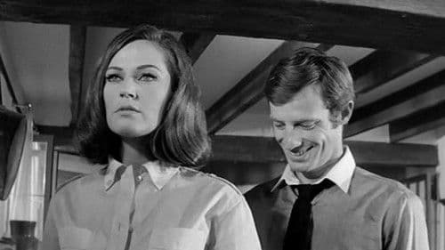 An einem heißen Sommermorgen Bild 4