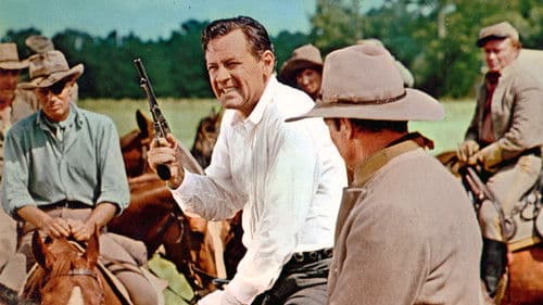 Alvarez Kelly Bild 1