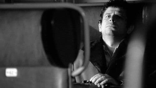 Örökbefogadás Bild 6