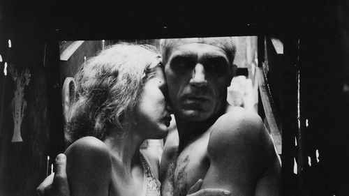 Лебедине озеро. Зона Bild 3