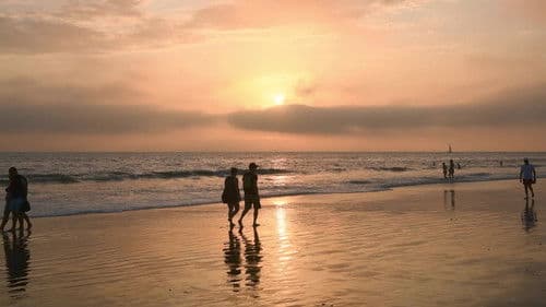 Memories for Life - Reversing Alzheimer's Bild 1