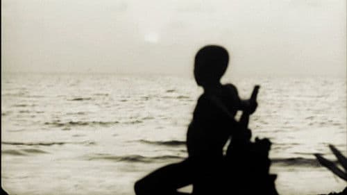 Un día vi 10 000 elefantes Bild 7