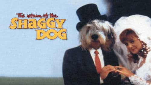 Zottis tolle Abenteuer Bild 7