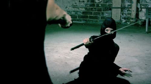 Ninja Cheerleaders Bild 5