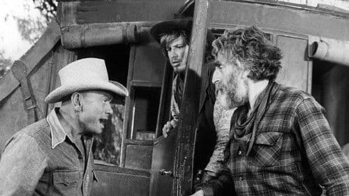 Catlow – Leben ums Verrecken Bild 2