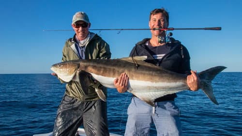 Fish of the Day Bild 1
