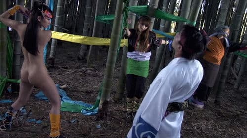 くノ一忍法帖 影ノ月 Bild 1