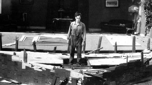 Buster Keaton - Steamboat Bill jr. Bild 2