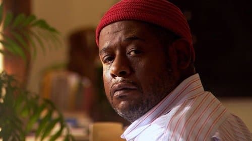 Ripple Effect Bild 1