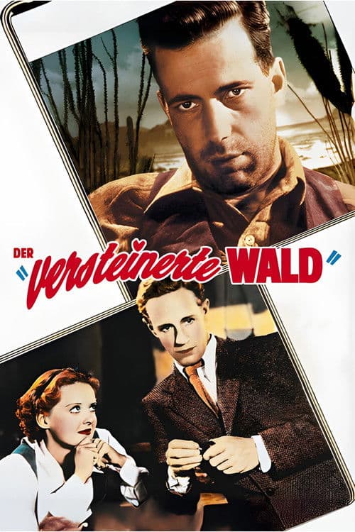 Der versteinerte Wald