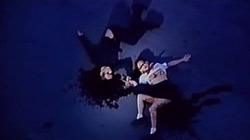 Turtle Vision Bild 3