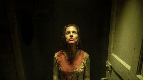 Sleepless Beauty Bild 1