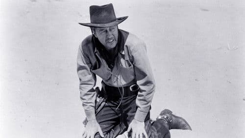 Ein Mann allein Bild 3